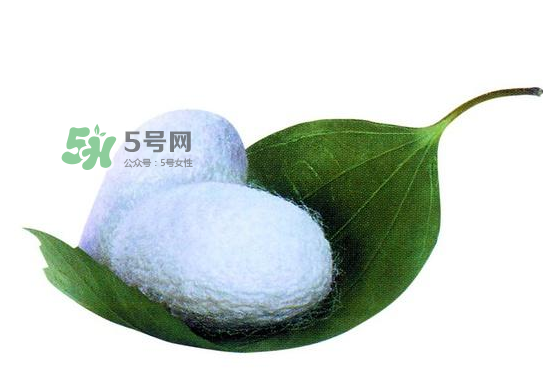 蠶繭多少錢一斤2017？2017年蠶繭價(jià)格是多少？