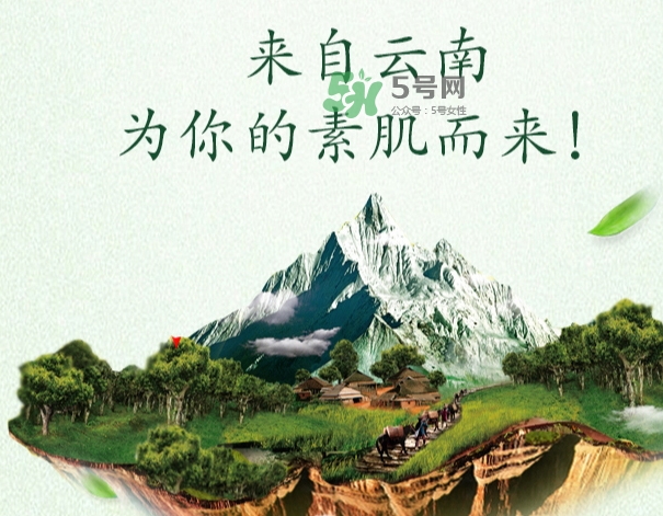 采之汲是什么牌子？采之汲是什么檔次？