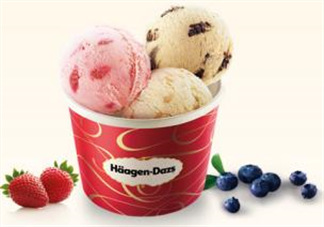 哈根達斯(H?agen-Dazs)柚子芝士蛋糕多少錢_好吃嗎？