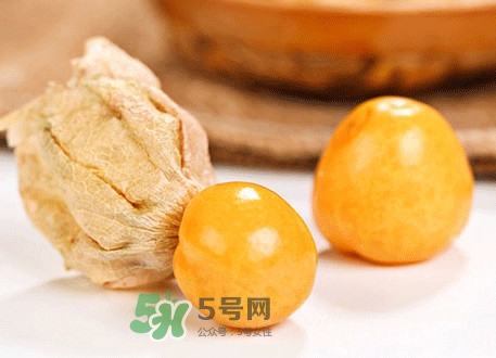 菇娘不能和什么一起吃？紅菇娘泡水喝有什么好處