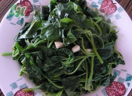 野莧菜有毒嗎？野莧菜怎么吃