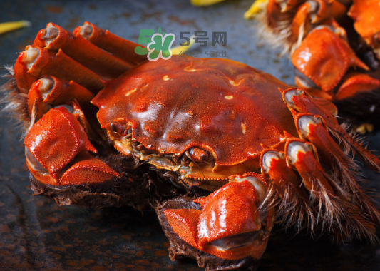 2017年陽澄湖大閘蟹多少錢一斤？2017陽澄湖大閘蟹價(jià)格