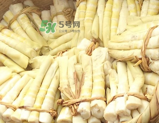 苦筍做法有哪些？苦筍怎么處理才不會苦
