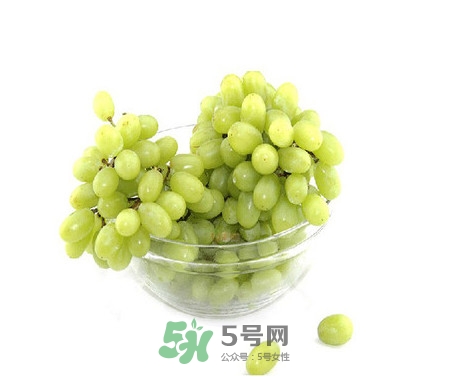 馬奶葡萄是提子嗎？馬奶葡萄怎么洗？