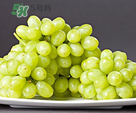 馬奶葡萄是只有新疆有嗎？綠馬奶葡萄為什么發澀