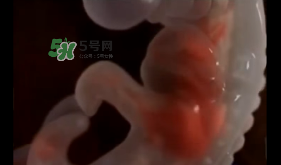懷孕初期怎么保胎？陰道出血是流產(chǎn)征兆嗎？
