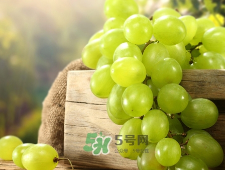 馬奶葡萄幾月成熟？吃馬奶葡萄有什么好處？