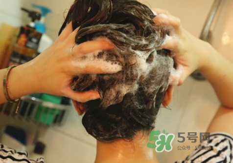 hair recipe水果洗發(fā)水怎么樣？hair recipe洗發(fā)水哪款好用