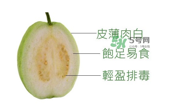 芭樂是什么季節的水果？芭樂什么時候吃最好