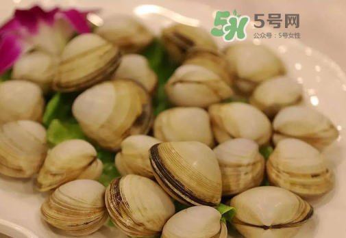 花蛤可以放冰箱冷凍嗎？花蛤放冰箱保鮮能吃嗎？