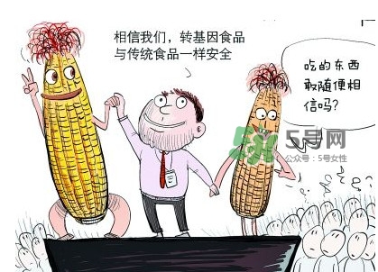 雜交水稻是不是轉(zhuǎn)基因？轉(zhuǎn)基因食品有哪些？