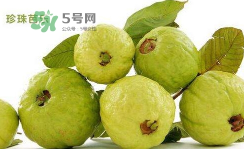 芭樂是什么季節的水果？芭樂什么時候吃最好