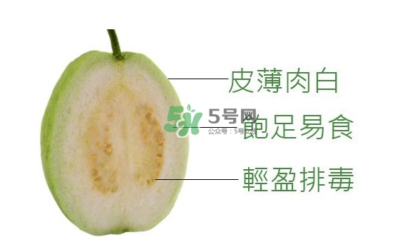芭樂可以減肥嗎？吃芭樂可以喝牛奶嗎？