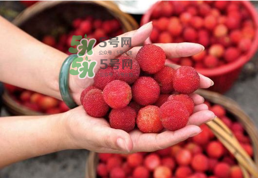 八月份還有楊梅嗎？楊梅幾月份結束？