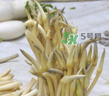 2017年藕帶什么時候下市？藕帶下市時間是幾月？