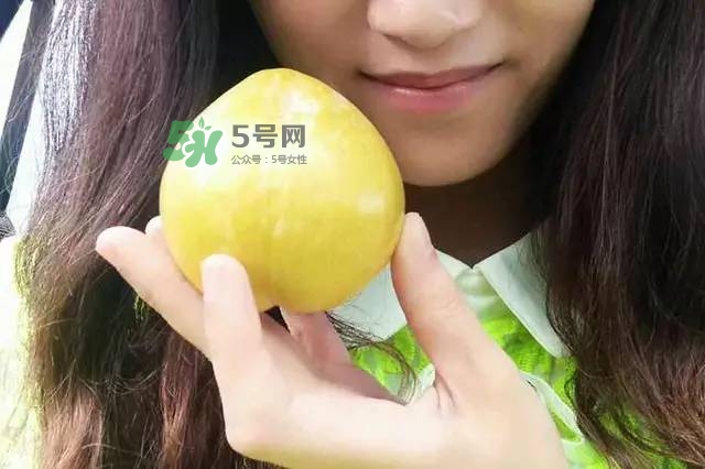 奈李是什么水果？奈李為什么會空心