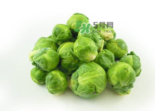 立秋可以種甘藍嗎？九月份能種甘藍嗎？