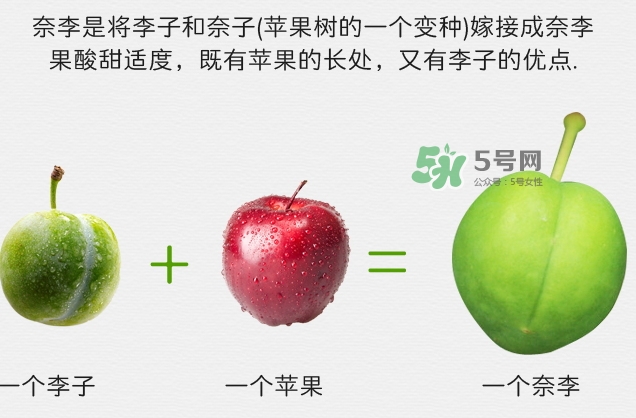 月經期間可以吃奈李嗎？來月經可以吃奈李嗎