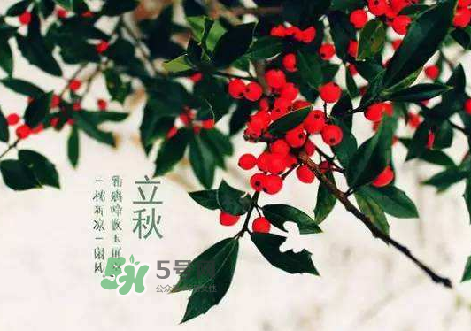 立秋為什么在處暑前？為什么立秋早過處暑？