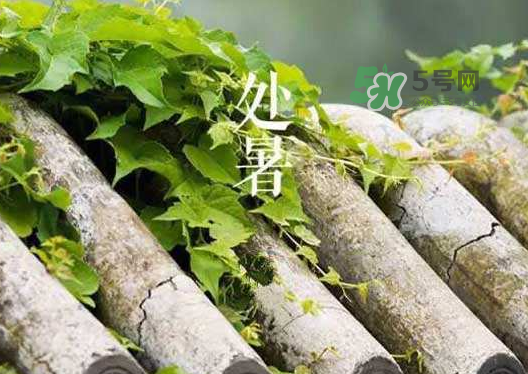 立秋為什么在處暑前？為什么立秋早過處暑？