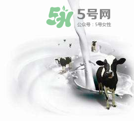 牛初乳孕婦可以吃嗎？牛初乳產婦可以吃嗎？