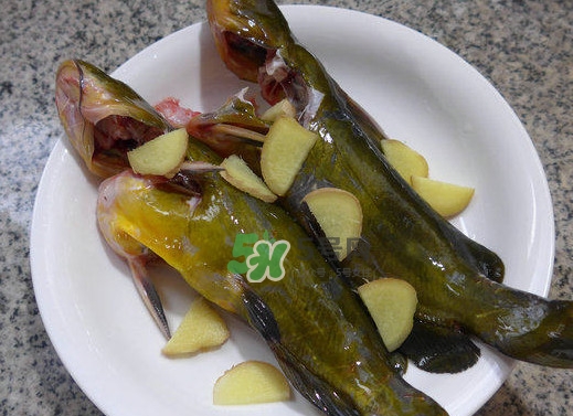 黃刺魚幾月份最好釣？黃刺魚怎么釣