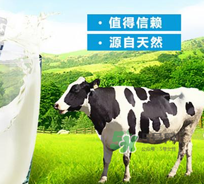 牛初乳是奶粉嗎？牛初乳跟奶粉的區別