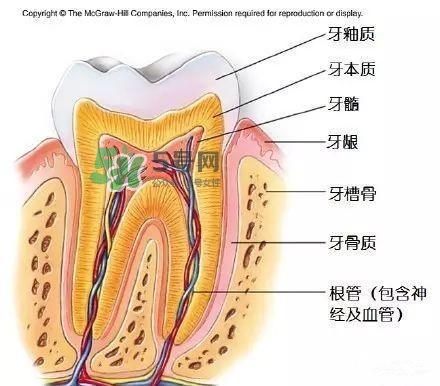 regenerate牙膏多少錢？regenerate牙膏專柜價格