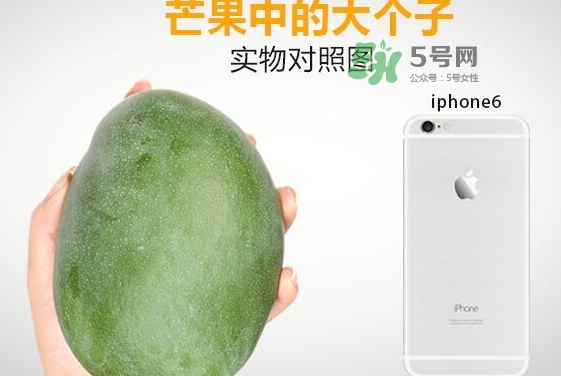 凱特芒果多少錢一斤？凱特芒果價格