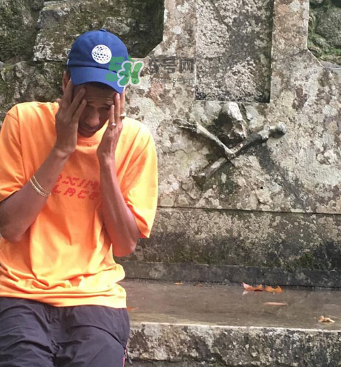 palace2017秋冬新款tri ferg tee什么樣_什么時候發售？