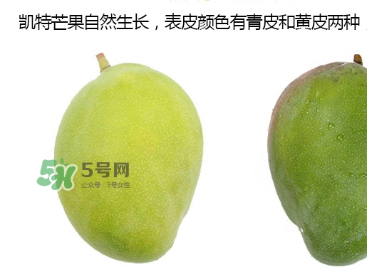 凱特芒果的營養價值 凱特芒果的功效與禁忌