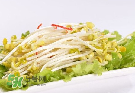 豆芽怎么保存？新鮮豆芽放冰箱能放幾天？