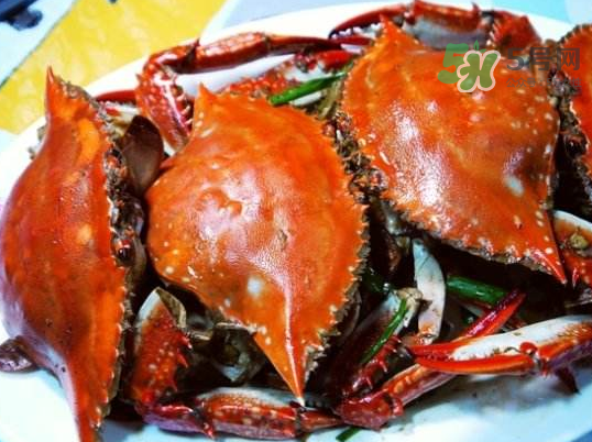 梭子蟹可以煮嗎？梭子蟹怎么煮？