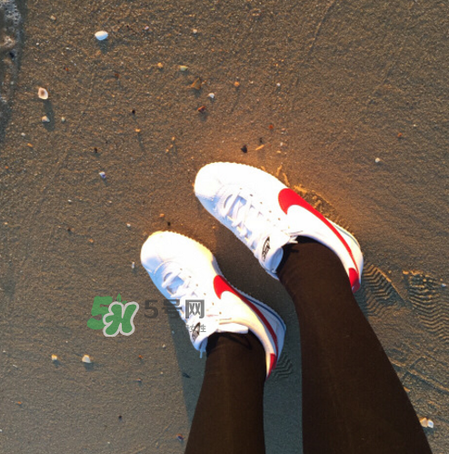 nike cortez jewel皮革版多少錢？耐克阿甘鞋皮革款價格