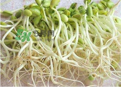 豆芽是發物嗎？豆芽能見陽光嗎