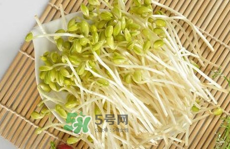 豆芽有根好還是無根好？無根豆芽與有根豆芽區別