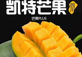 凱特芒果的營養價值 凱特芒果的功效與禁忌