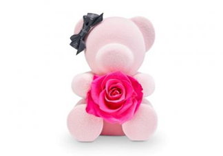 roseonly熊多少錢？roseonly玫瑰熊多少錢？