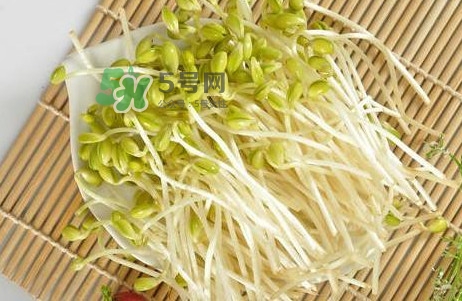 豆芽怎么保存？新鮮豆芽放冰箱能放幾天？