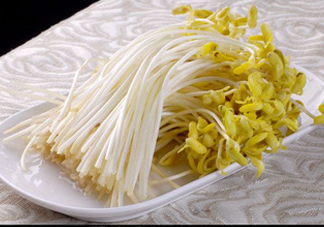 豆芽有綠葉還能吃嗎？豆芽有點爛了還能吃嗎
