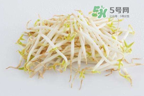 豆芽是發物嗎？豆芽能見陽光嗎
