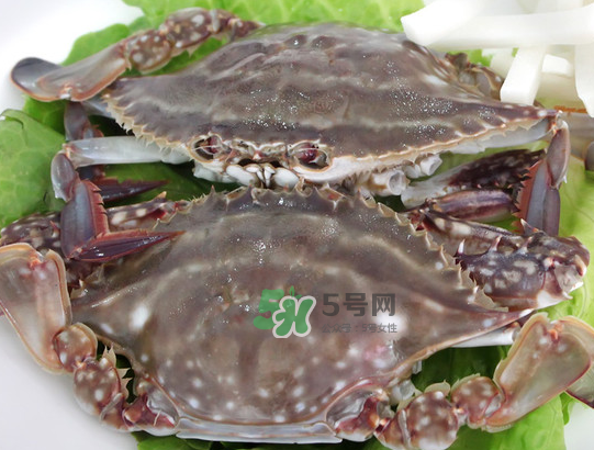 梭子蟹為什么這么貴？梭子蟹和大閘蟹哪個貴？