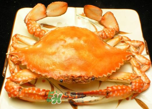 飛蟹什么時候最肥？飛蟹幾月份最肥？