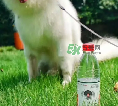 網易云音樂農夫山泉樂瓶怎么玩？云音樂農夫山泉玩法