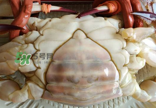 飛蟹多少錢一斤？飛蟹多少錢一斤2017？