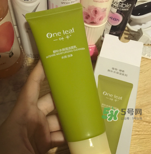 一葉子鮮補水洗面奶怎么樣？一葉子鮮補水潔面乳好用嗎？