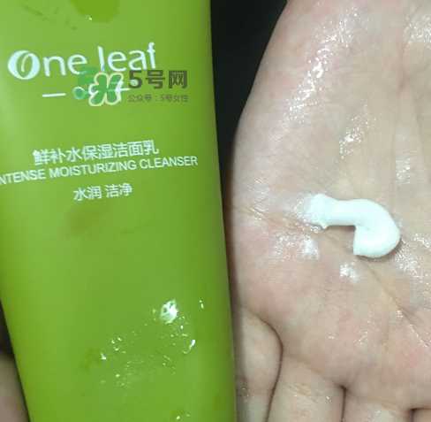 一葉子鮮補水洗面奶怎么樣？一葉子鮮補水潔面乳好用嗎？