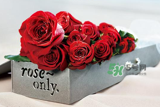 roseonly永生花可以保存多久？roseonly永生花保養(yǎng)