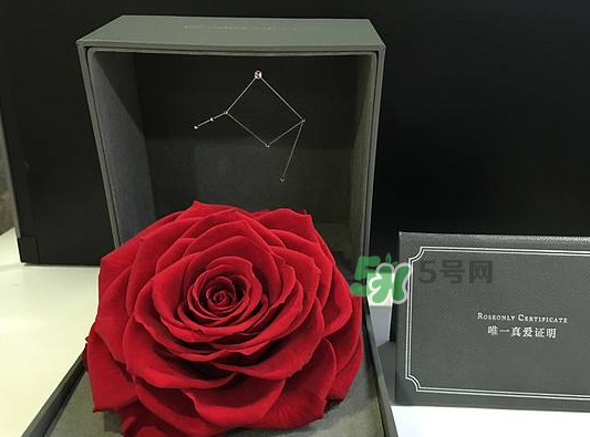 roseonly永生花可以保存多久？roseonly永生花保養(yǎng)