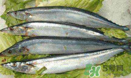 鰣魚和刀魚哪個貴？長江三鮮哪個最貴